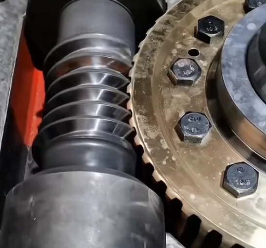 Custom Worm Gear Manufacturer in China