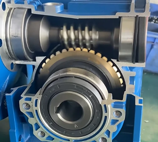 Custom Worm Gear Manufacturer in China