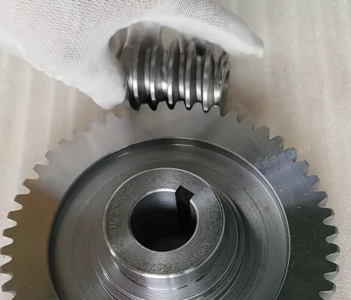 Custom Worm Gear Manufacturer in China